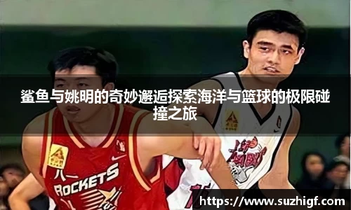 Lewin乐玩官网