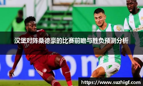 乐玩lewin国际